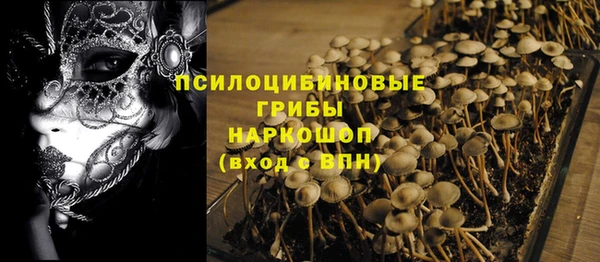 дурь Вяземский