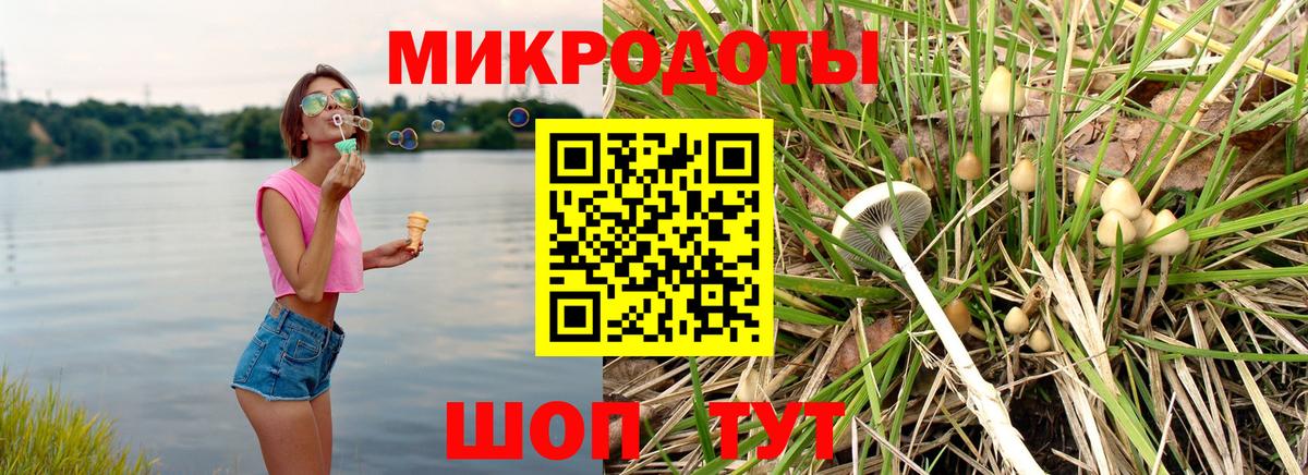 цены   Псилоцибиновые грибы MAGIC MUSHROOMS  Вход с VPN  Мичуринск 
